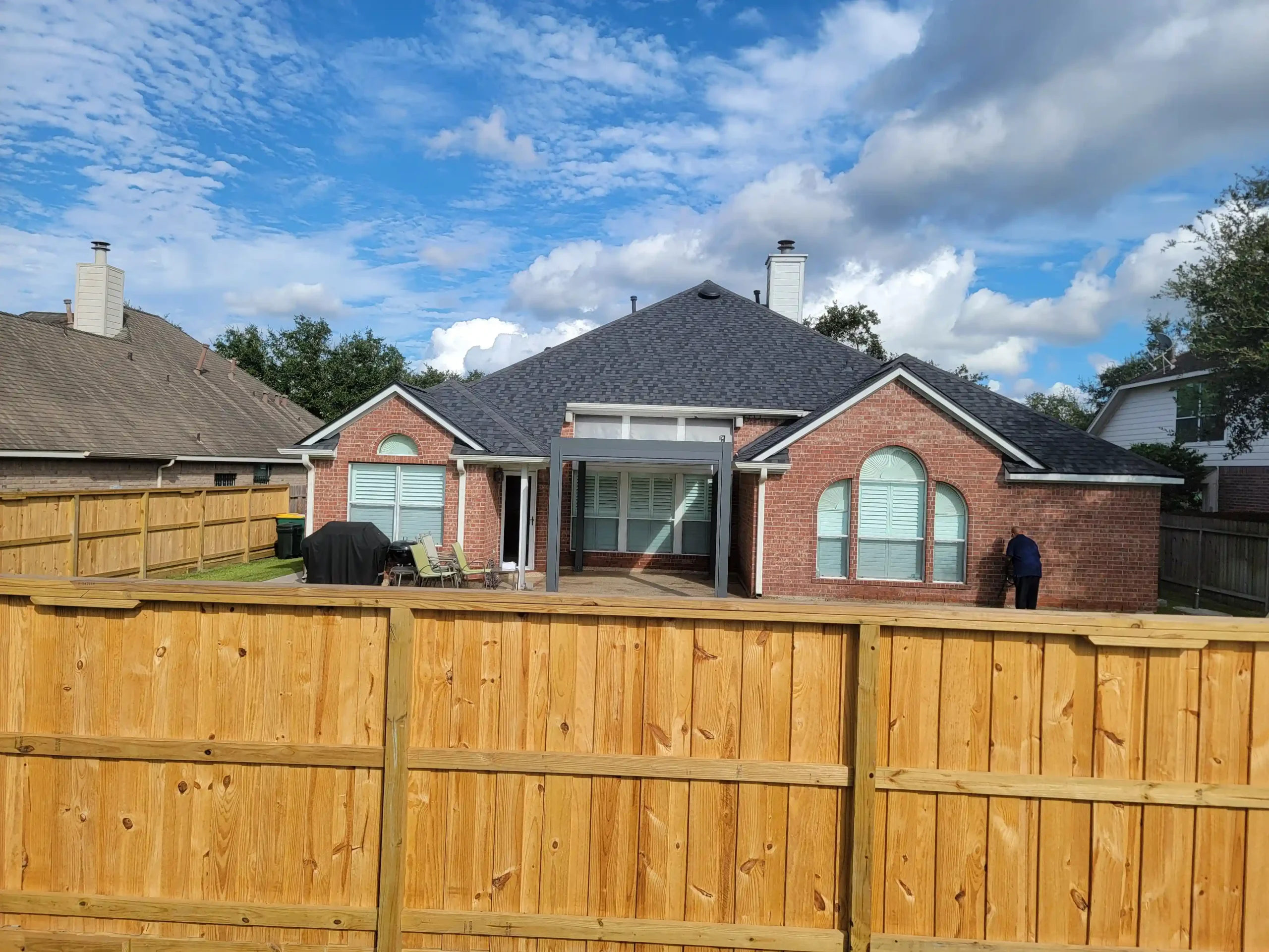 Backyard revival in progress